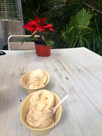 Glace Helado Artesanal