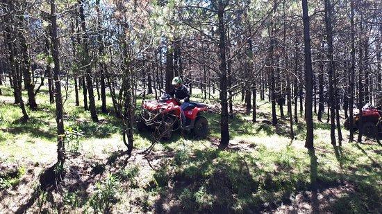 ATVForestal