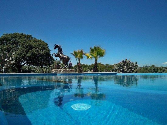 Rancho Las Cascadas Riding Tours