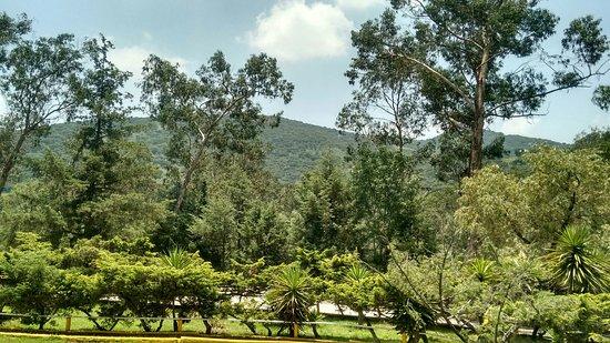 Parque De Los Ciervos