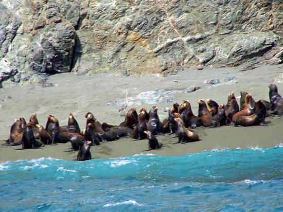 Mag Bay Tours